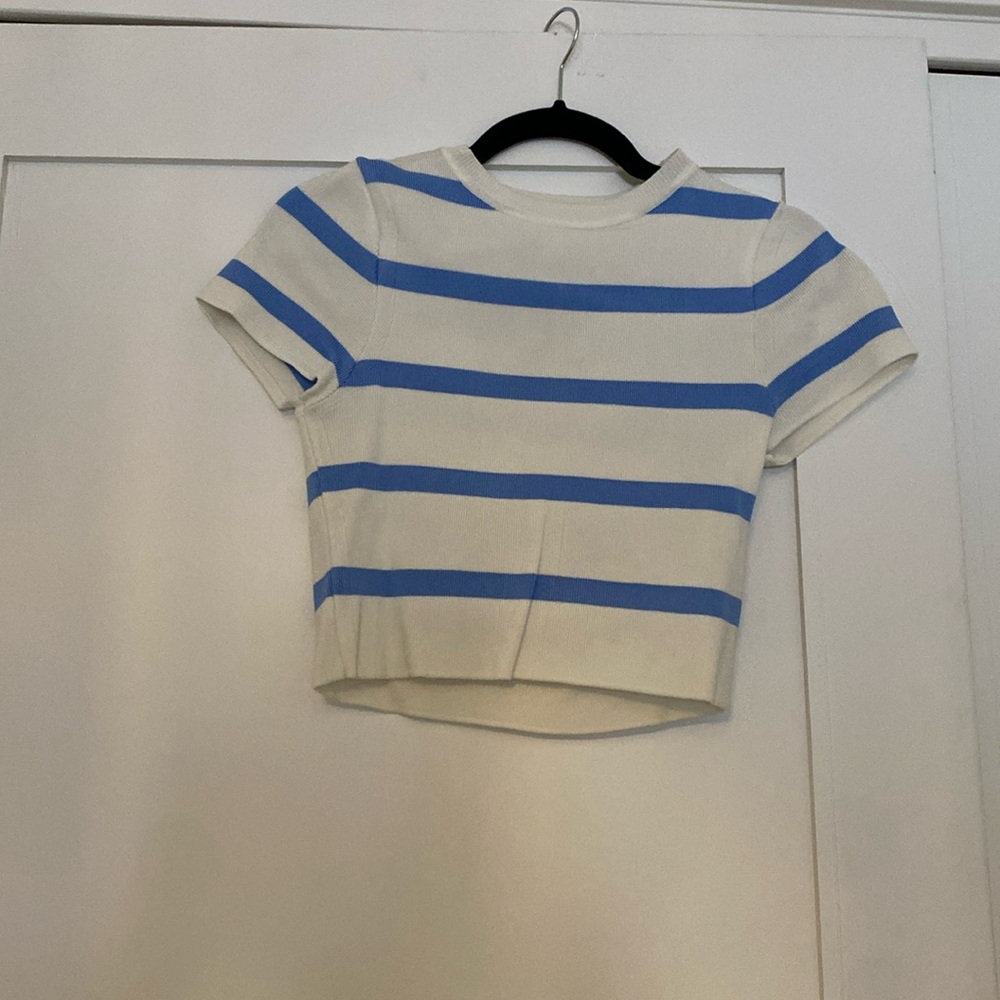 Zara crop t-shirt